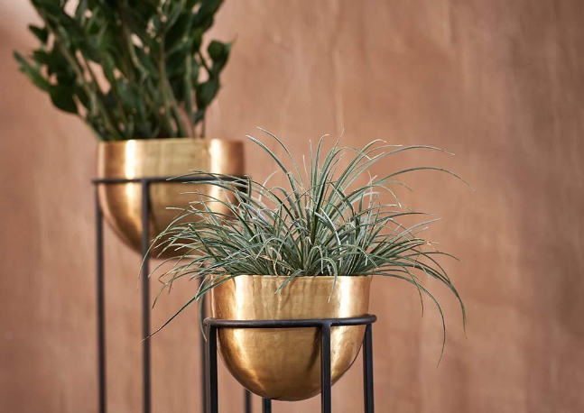 brass plant pot