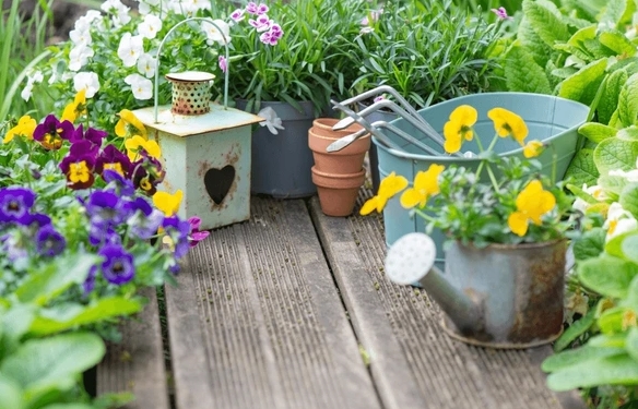 decorative flower pots