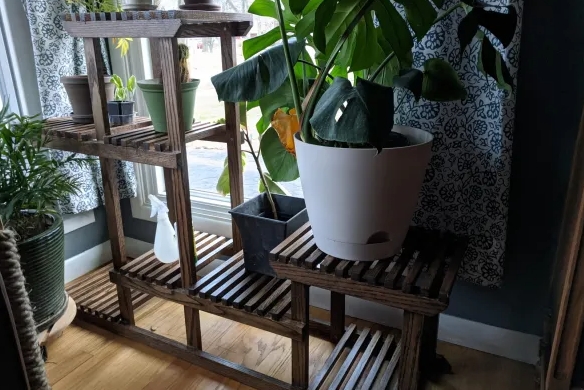 large plant stand indoor