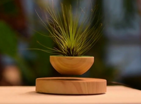 floating plant pot