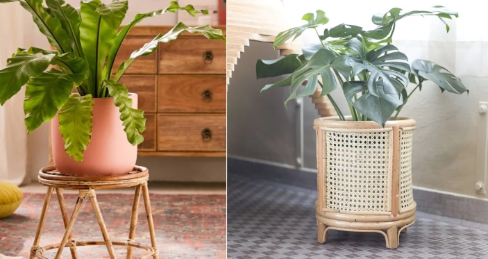 rattan plant pot