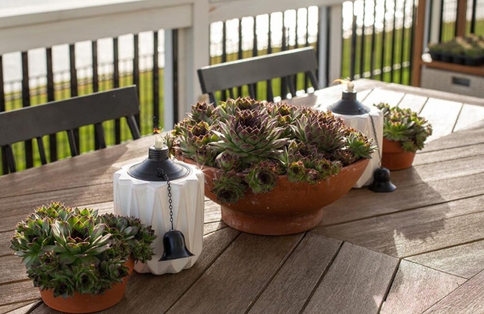 outdoor plant table