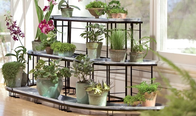 corner plant stand indoor