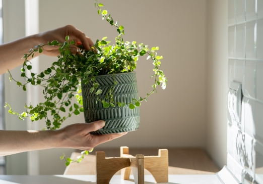 plant pot on legs