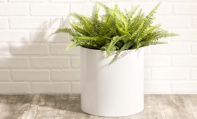 large decorative pots for indoor plants