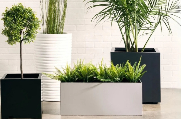 planters for plants