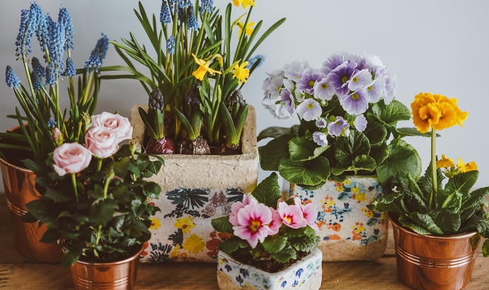 small flower pots