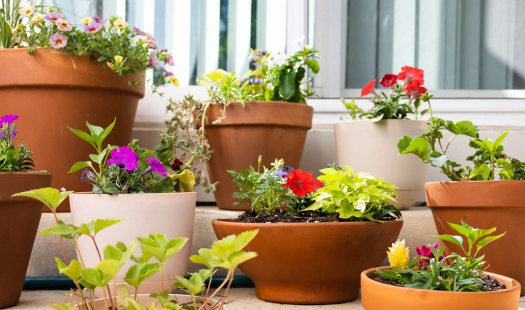 pots and planters