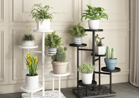 plant stands for multiple plants