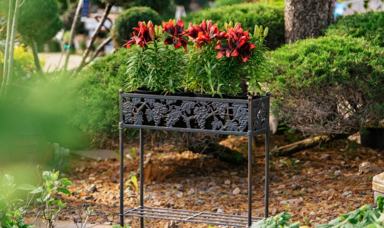 wrought iron plant stands