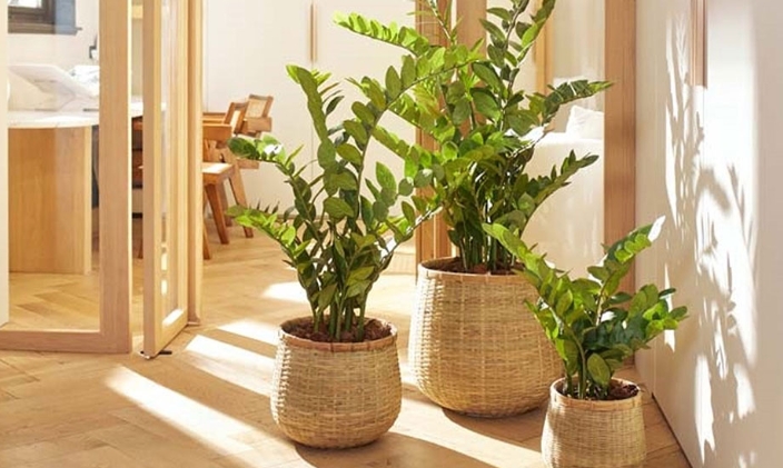 artificial potted plants