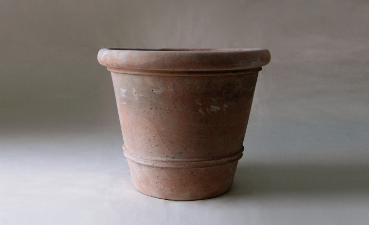 terracotta plant pots