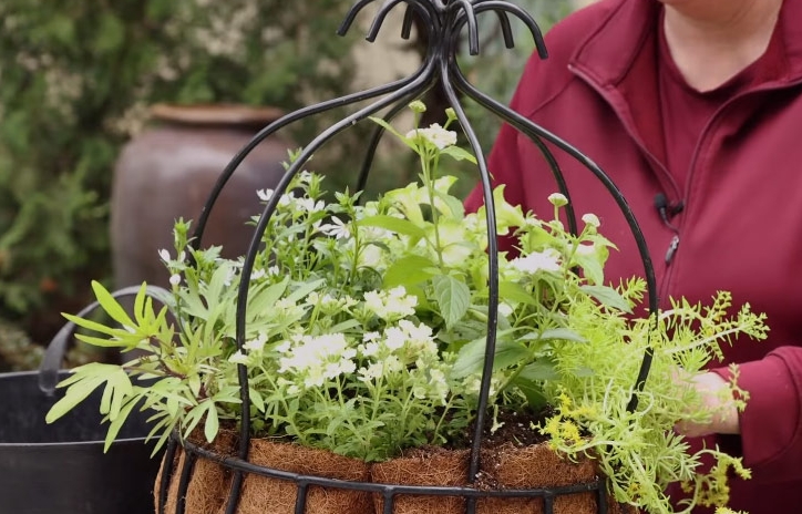 hanging plant pots