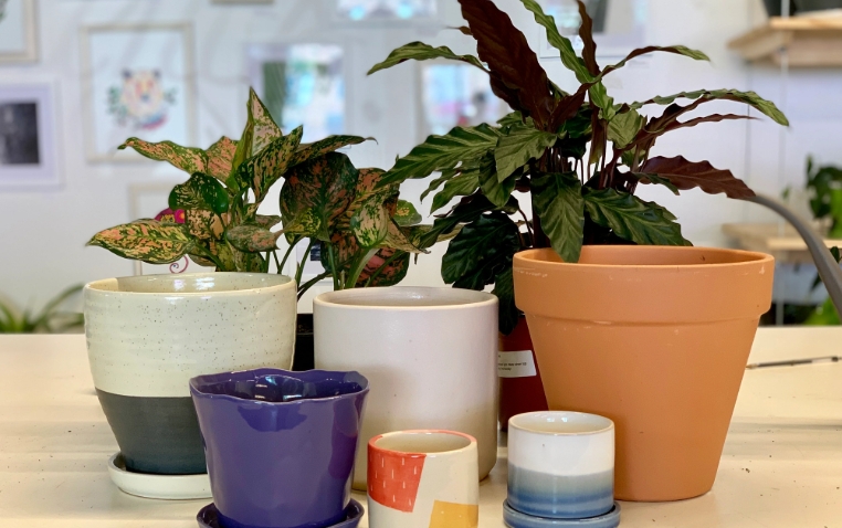 ceramic plant pots