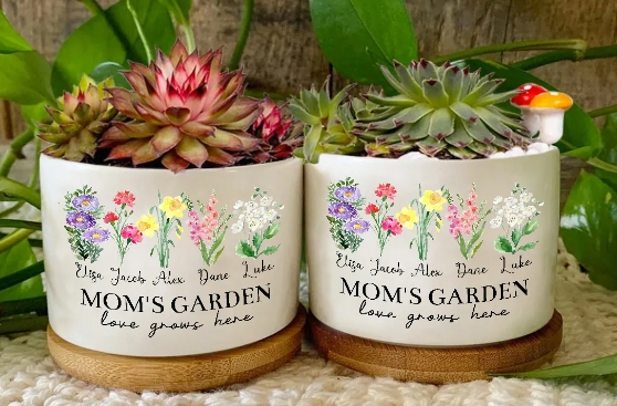 custom plant pots