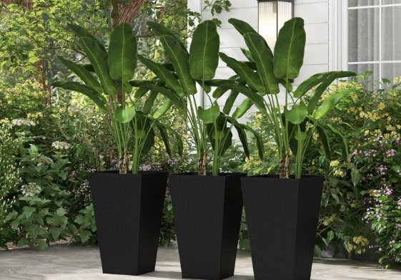 tall pots