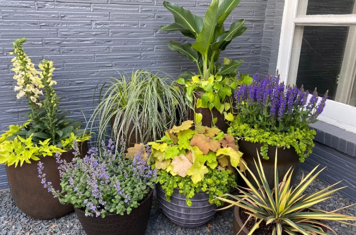 outdoor pots and planters