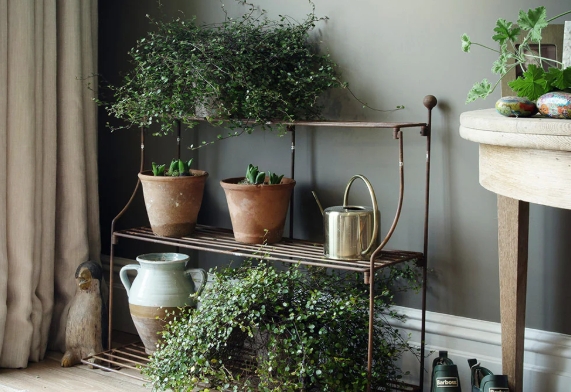 tiered plant stand indoor