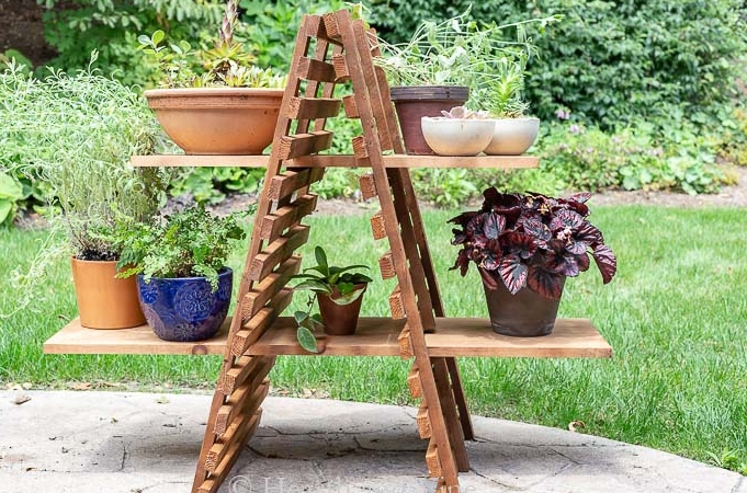 multi plant stand