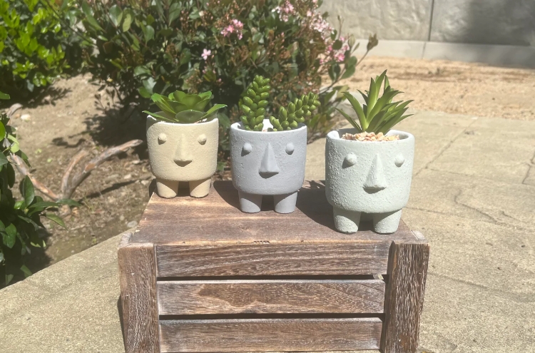 cute plant pots