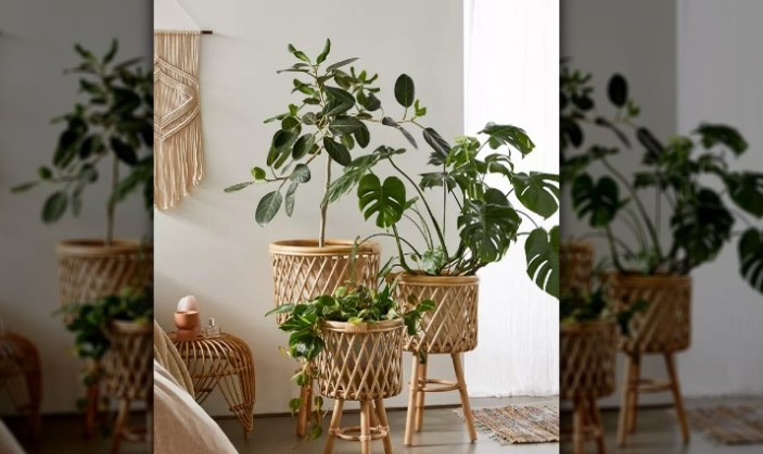 wicker plant pot