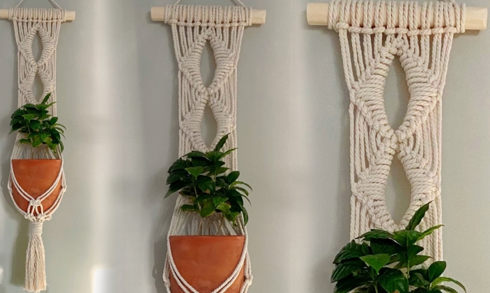 wall plant holders