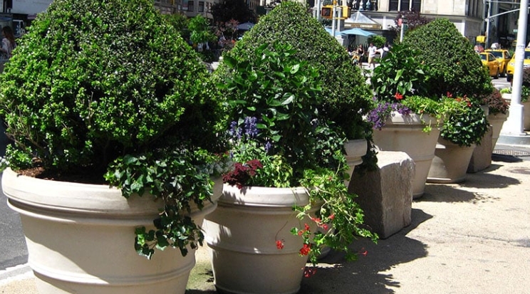 extra large pots for outdoor plants