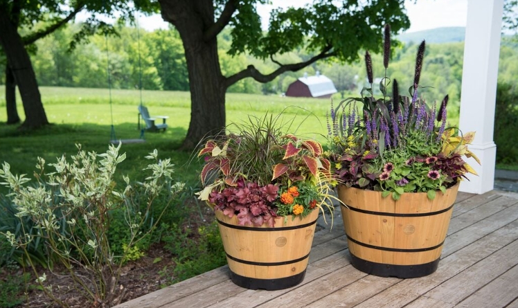 cheap flower pots