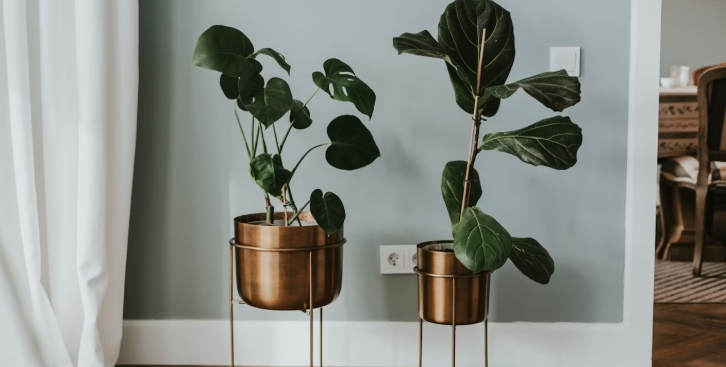 indoor plant stands for multiple plants