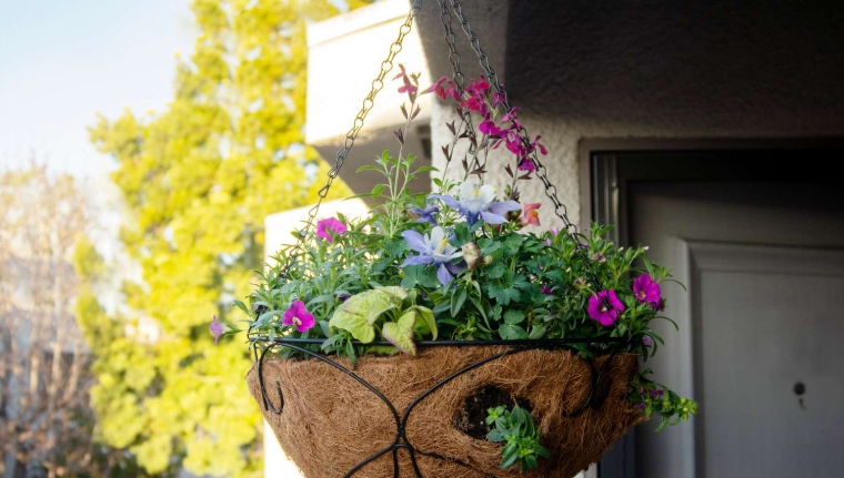 hanging flower basket