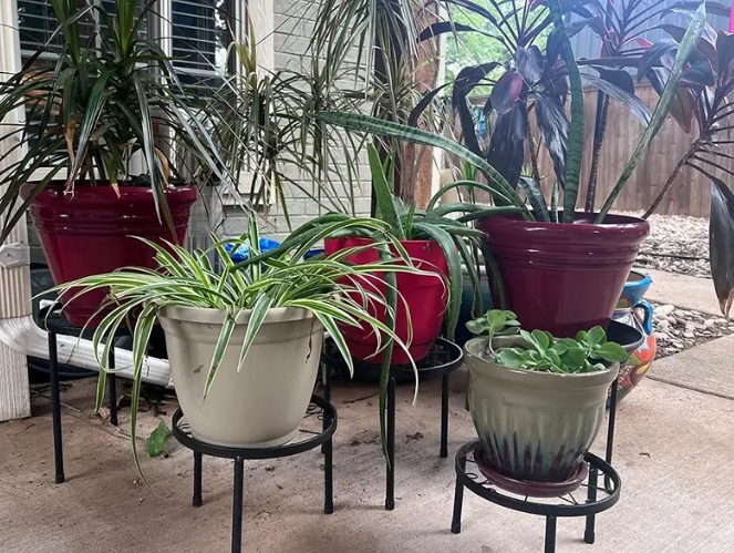 outdoor plant stands for multiple plants