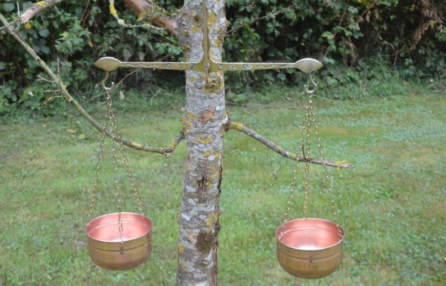 copper plant pots