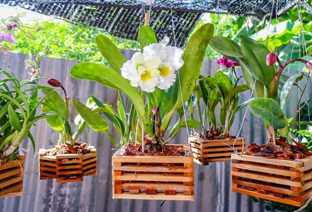 indoor plant pots with drainage