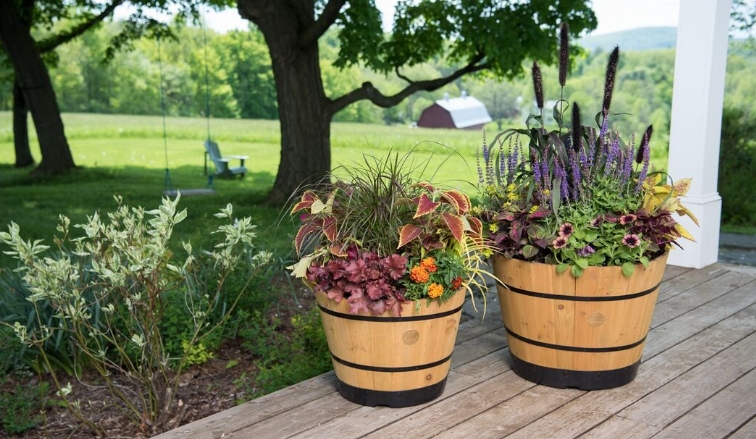 garden pots and planters