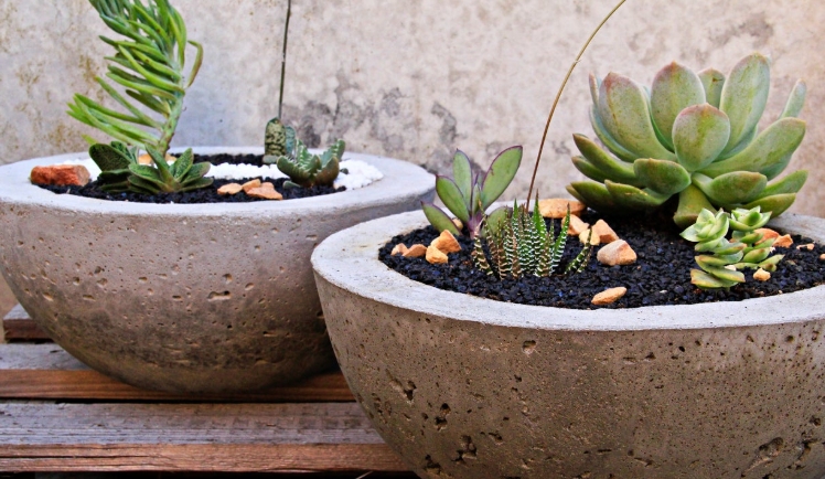 concrete flower pots