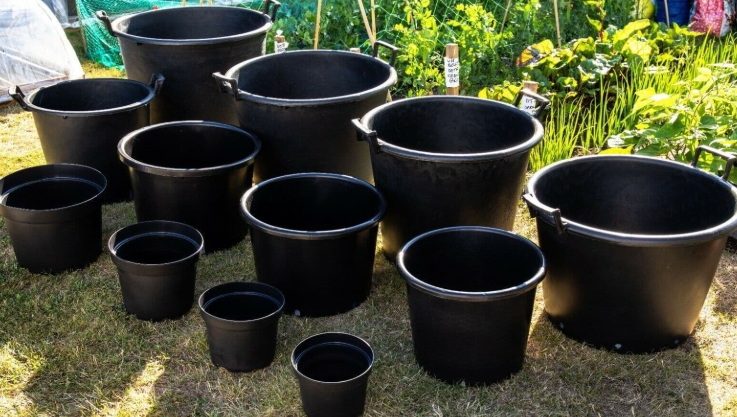 large plastic plant pots