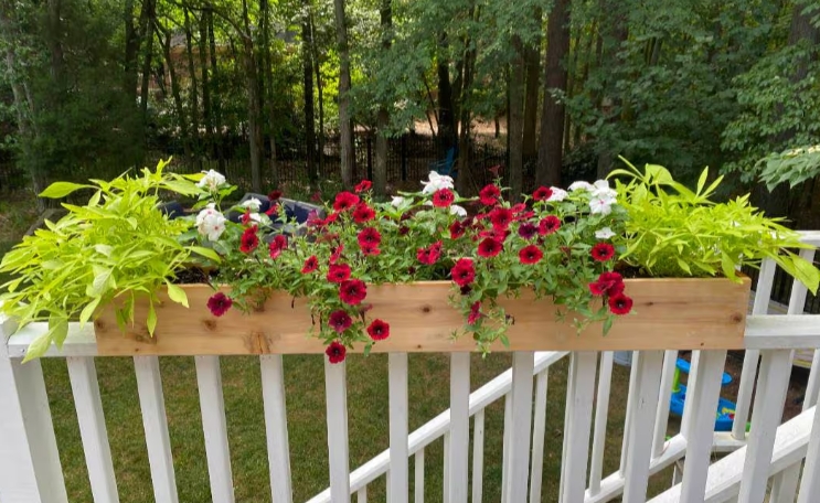 flower boxes for railings