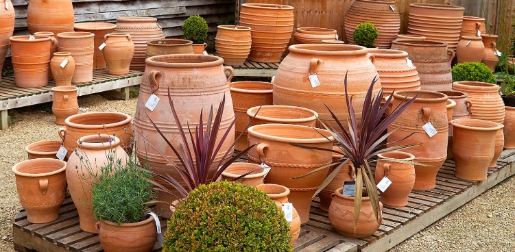 clay pots for plants