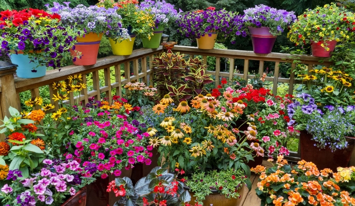 outdoor flower pots