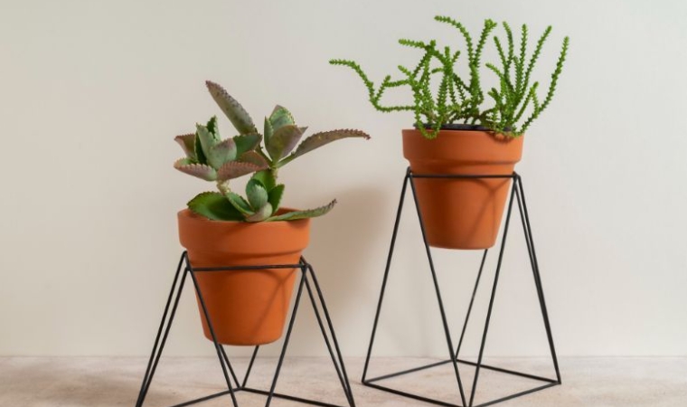 plant pot stand