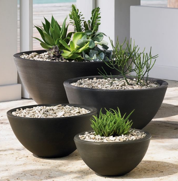 black plant pot