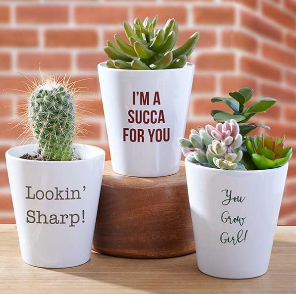 mini flower pots