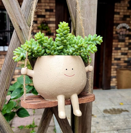 amazon plant pots