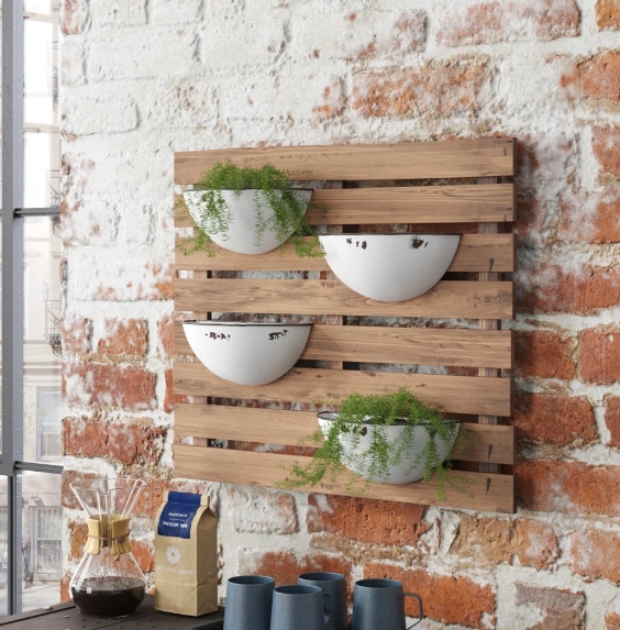 wall mounted plant holder