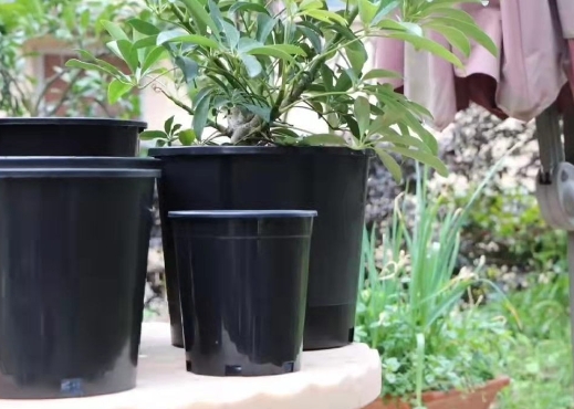 3 gallon plant pots