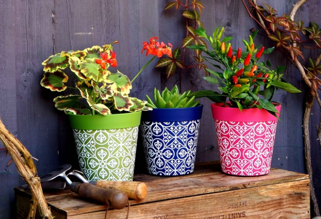 buy plant pots