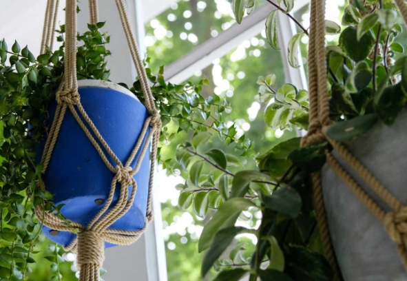 macrame plant holder