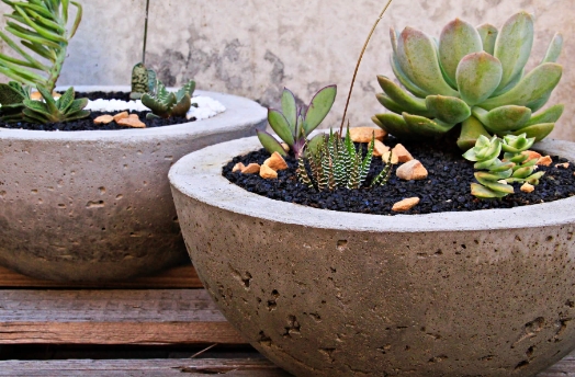 concrete plant pots