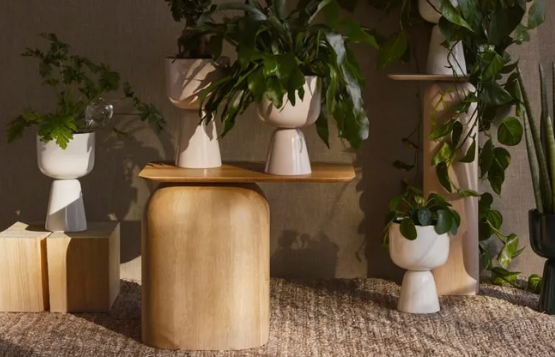 flower pot stand indoor