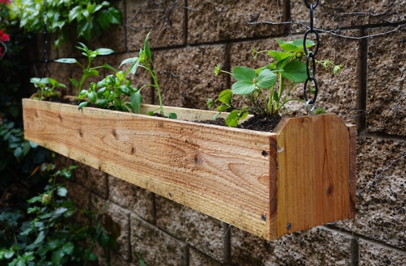 hanging planter boxes